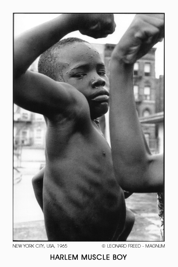 Harlem Muscle Boy