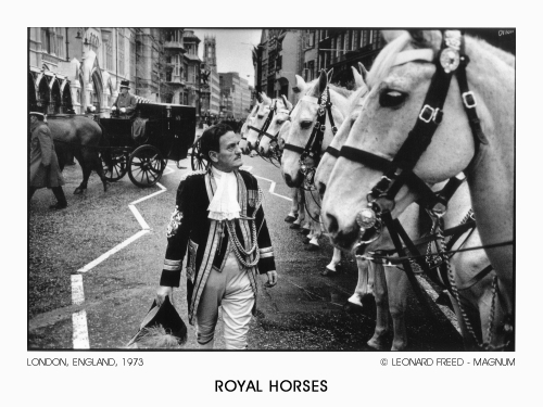 Royal Horses