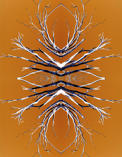 ANTLERS