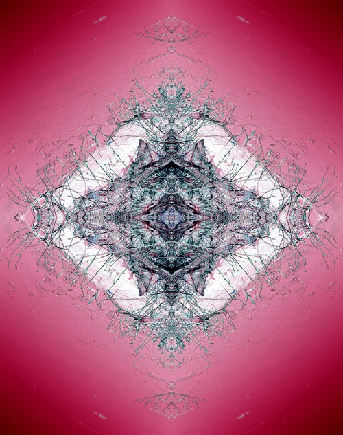 CREATURE 6